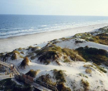 Dunes and Beach at Mustang Towers